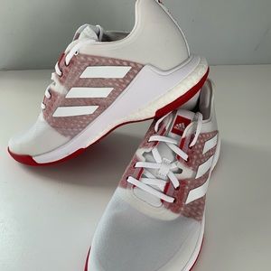 Crazy flight Adidas Volleyball shoes